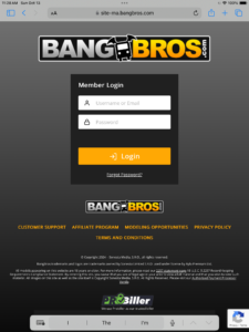 BangBros 5