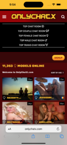 OnlyChatX 1